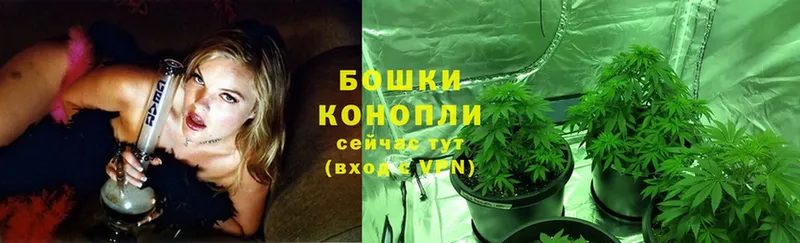 наркошоп  MEGA вход  Бошки марихуана Ganja  Благодарный 